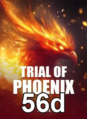 Usuário acessando serviço VIP na plataforma mobile-first